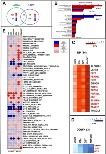 Figure 7. RNA-seq analysis of MB-157 cells exposed to ATRA, DAPT and ATRA+DAPT. Three paired  biological replicates of MB-157 cells were grown in DMEMF12 medium containing 5% charcolated  FBS  (Fetal Bovine  Serum,  Gibco)  for  24  h