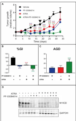 Figure 4. Anti-tumor effects of ATRA and PF-03084014 alone or in combination on the growth of  HCC-1599 xenografts