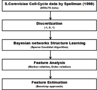Fig. 1. ”Using BNs to Analyze Expression Data”, Freidman et al. in 2000