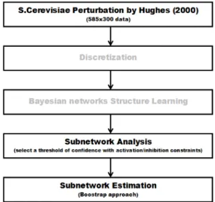 Fig. 2. ”Inferring Subnetworks from Expression Profiles”, Pe’er et al. in 2001