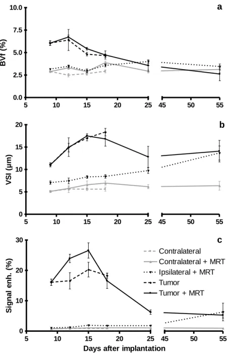 Figure 3: MRI vessel parameter measurements.  BVf (a), VSI (b) and vessel permeability  (c) values measured by MRI in the tumor, in the contralateral and ispsilateral hemispheres at  different times after tumor inoculation (mean ± SD)