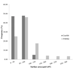 Figure 3 - Size distribution of VB in the rind parenchyma of  Cm484 and F98902 internodes