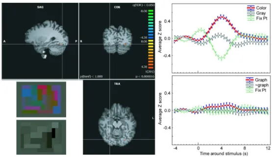 Figure 2. Color and synesthetic responses in individual color centers. Left. Color centers for syn10, defined  as the voxels responding more to colored than achromatic Mondrian patterns (bottom left inset) as well as  to the fixation point