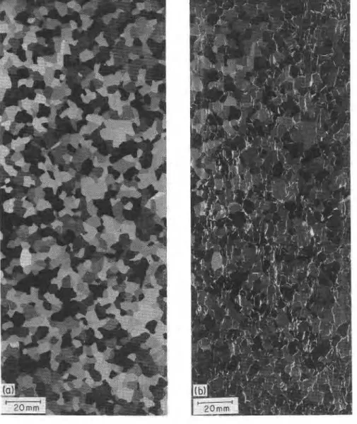 Figure  3  A  0.8  mm double-micro-  tomed  thin  section,  made  from  thick  section  of  Fig