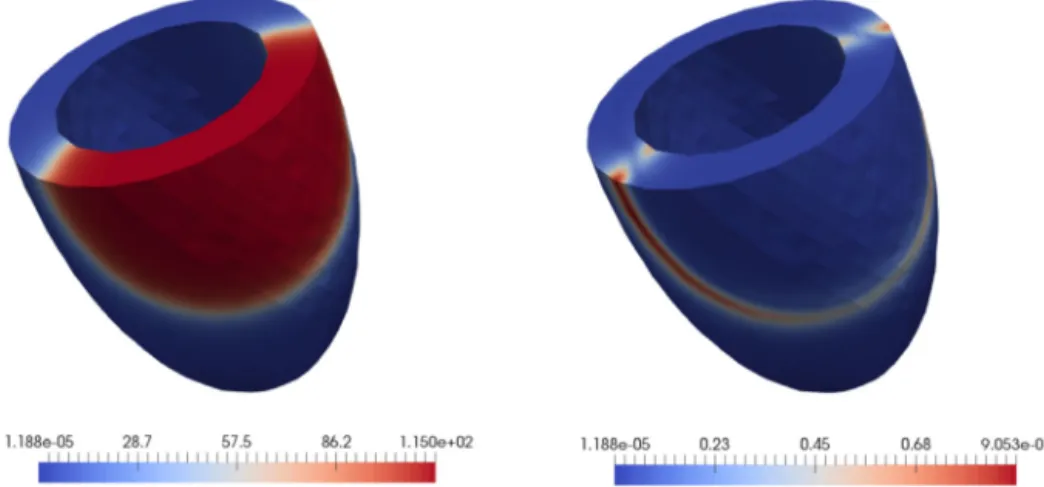 Fig. 9. Mean (left) and variance (right) at the ﬁnal time state for the ventricle.