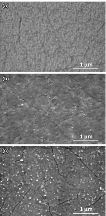 Fig. 5    SEM images of the LSC electrodes at different stages of the  combined NAP-XPS and electrochemical experiment