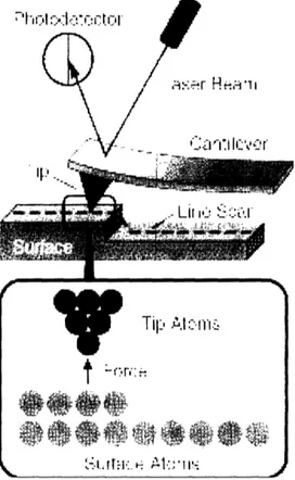 Figure  1-1: How  AFM  works  [ 1 ] - The  laser  beam  first emitted  by  the  scanner  and  reflected  by  the