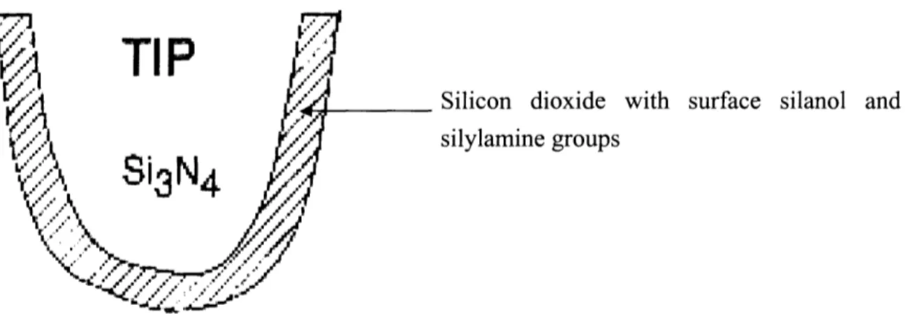 Figure 2-3: Silicon dioxide-coated silicon nitride cantilever [4]