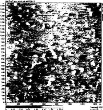 Figure  3-4: AFM blocking  experiment