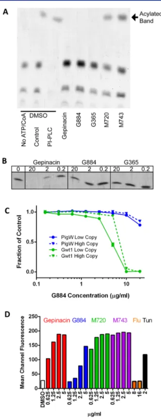 Figure 4. continued