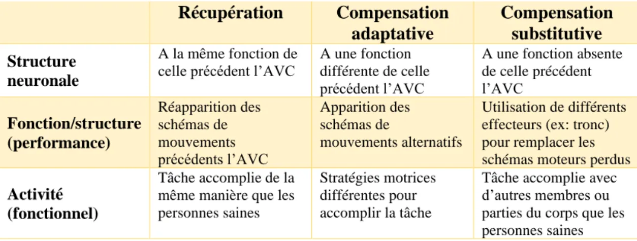 Tableau 1. Niveaux de récupération et compensation, adapté de Levin et al. (2008)  Récupération  Compensation  adaptative  Compensation substitutive  Structure  neuronale  A la même fonction de celle précédent l’AVC 
