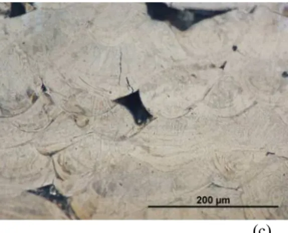Figure  10:  Optical  micrograph  of  electrolytically  etched  surface  of  IN-738  LC  (a) 