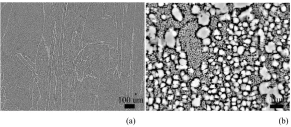 Figure 12: Backscatter electron image of electrolytically etched surface of IN-738 LC 