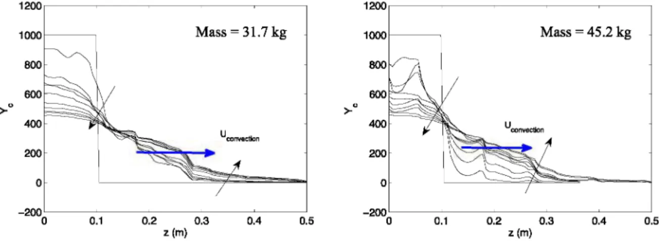 Figure 2.  Temporal evolution of colored particle concentration profiles  on aline along the axis of the domain:  Effect of the solid mass (Mixer A, 40 rpm)  Effect of the paddle shape 