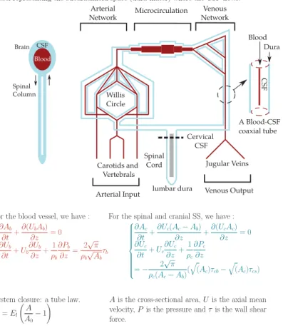 Fig. 3: Blood Pressure Fig. 4: Cervical CSF Flow Fig. 5: Cervical CSF Pressure