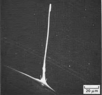 Figure  3 Optical micrograph exhibiting a few grains and etch tracks  corresponding  to moving dislocation