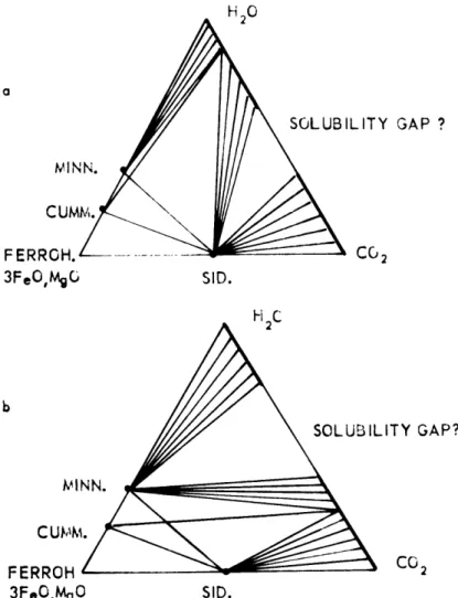 Fig.  9  Hypothetical  phase  diagrams  showing alternative  phase relationships  in  the  system 3FeO,  MgO-SiO 2 -COp-H 2 0 at the  point  at  which minnesotaite  becomes unstable  in the  presence  of  siderite