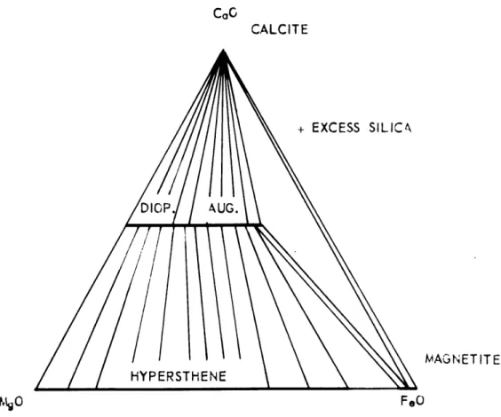 Fig.  13  Hypothetical  phase  diagram showing a section of  the system Fe0-gO0-Ca0-  C0 2 -SiO 2  for  a fixed  temperature, pressure,  and  activity of  oxygen