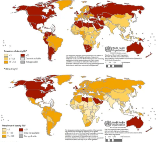 Figure I-1: Prévalence de l'obésité (IMC&gt;=30)  chez la femme (carte du haut) et  l'homme (carte du bas) en 2014 (Mendis et al., 2015)