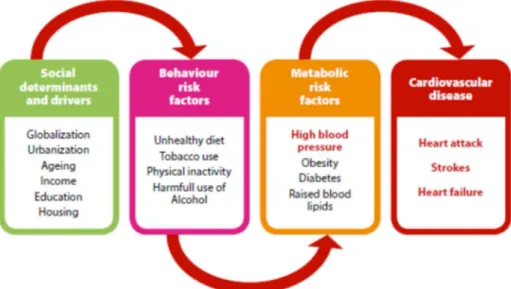 Figure I-2: Les facteurs de risque et complications de l'obésité (Mendis et al.,  2015)