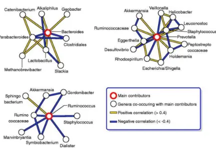 Figure II-2: Composition relative des différents enterotypes chez  l'Homme (Doré et al., 2013)