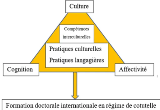 Fig. 1. Facteurs pouvant déterminer le processus de formation doctorale  En nous fondant sur notre expérience personnelle  d’enseignant-chercheur et directeur de thèse qui a participé à l’organisation de  nom-breuses thèses de doctorat en régime de cotutel