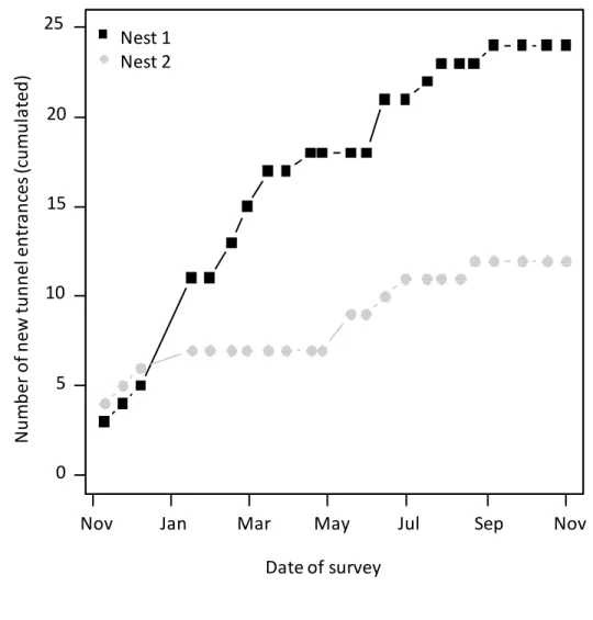 Fig 3: Cumulative number of newly opened tunnel entrances at each survey over the monitoring 