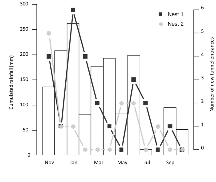 Fig 4: Cumulated monthly rainfall (in mm) recorded at Bauru (22.355°S –49.0°W - Altitude: 