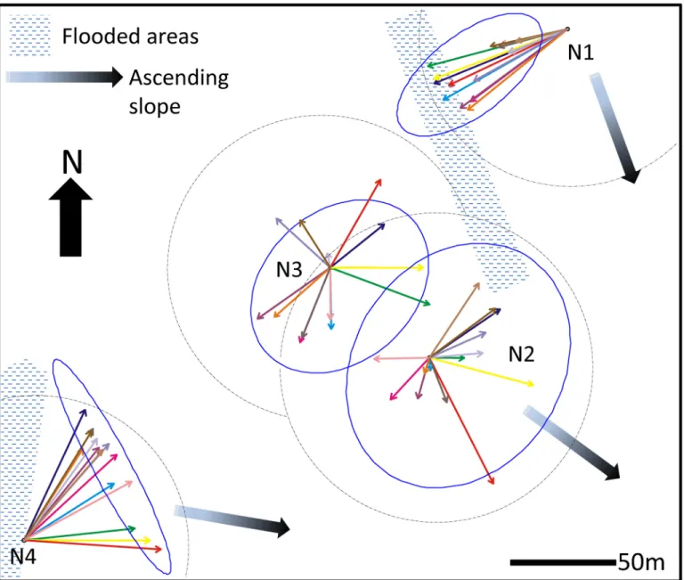 Fig 1. Map of the studied area showing the respective location of the nests and the distribution of foraging effort around the nests throughout the 8-month survey.