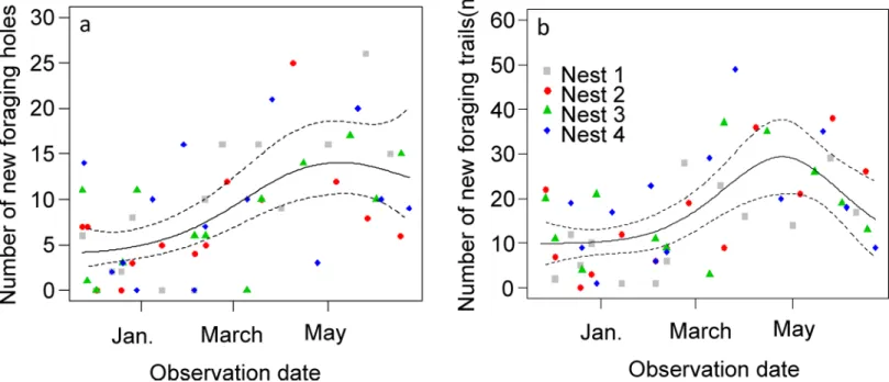 Fig 3. Assessment of the excavation and trail construction effort over the 8-month survey