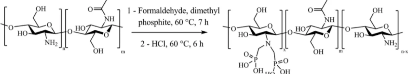 Fig. 1: Synthesis of N,N-methylene phosphonic ester chitosan followed by hydrolysis step.