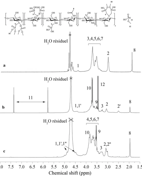 Fig. 3:  1 H NMR spectra recorded in D 2 O at 25 °C of: (a) N-chitosan 30, (b) P-chitosan 30 and (c) P-chitosan 30 after the hydrolysis  at pH = 1.