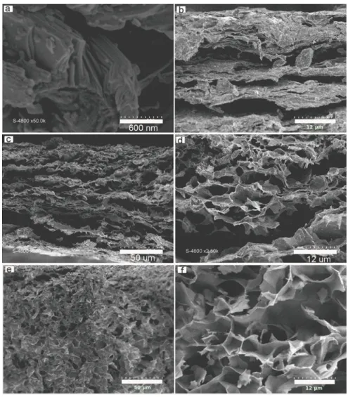 Figure 3. Side views from SEM images of Ti 3 AlC 2  MAX phase (a), Ti 3 C 2 T x -MXene (b), Expanded Ti 3 C 2 T x -MXene (c, d) and Ti 3 C 2 T x -Mxene foam (e, f).