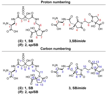 Figure 2. Proton and carbon numbering for NMR assignments. 