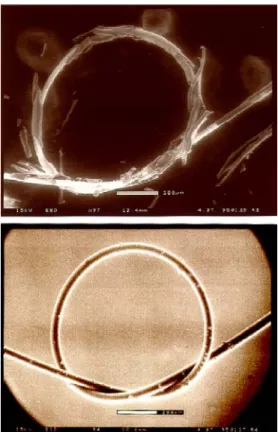 Figure 1.2   Comparison of continuous PECVD (top) and pulsed PECVD (bottom) coating  of 75 µm diameter wires