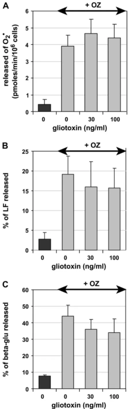 Fig. 2. Gliotoxin (30 and 100 ng/ml) has no effect on superoxide production and granule exocytosis in human neutrophils