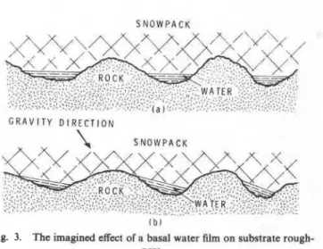 Fig.  3.  The  imagined  effect  of  a basal  water  film  on  substrate rough-  ness