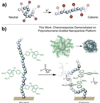 FIGURE  2.  a)  Electrophiles  (e.g.  protons)  typically trigger polymer chain (e.g. polyamines)  extension  as  a  result  of  the  formation  of  polycation  structures