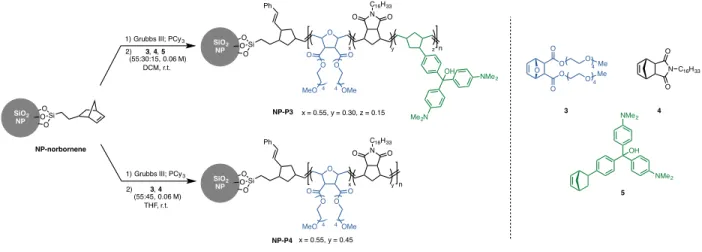 FIGURE  4.  Grafting  a  CWA-responsive  polymer  and  control  polymer  from  NP-norbornene  via  ROMP.