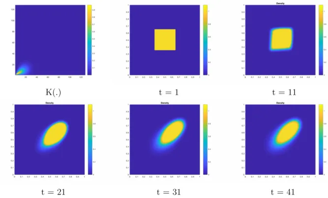 Figure 7: Non local interaction. Top left : Kernel K. Densities at different time steps