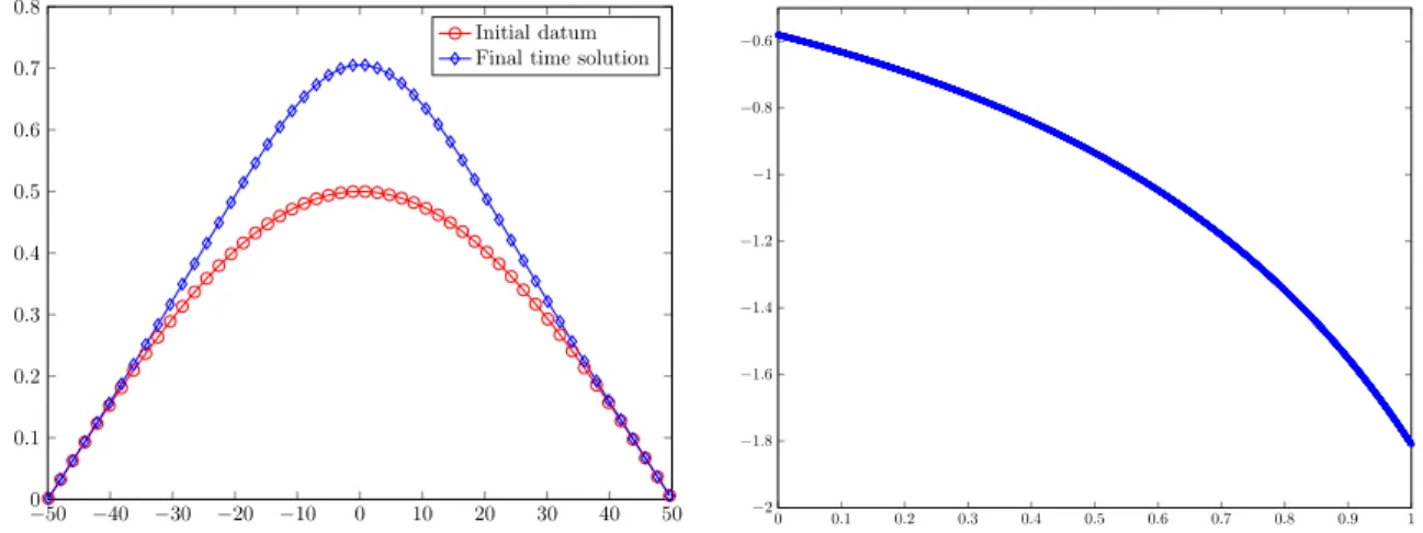 Figure 8. Initial datum and solution at the final time T “ 1 with respect to space (left hand side) and evolution of E rlx with respect to time (right hand side).