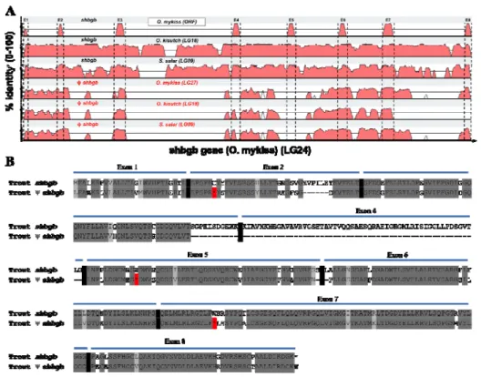 Figure 3: Multiple alignments plots of shbgb genes in salmonids.  (A). Percentage of 454 