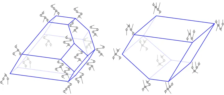 Figure 10. The permutreehedra PT (left) and PT (right).