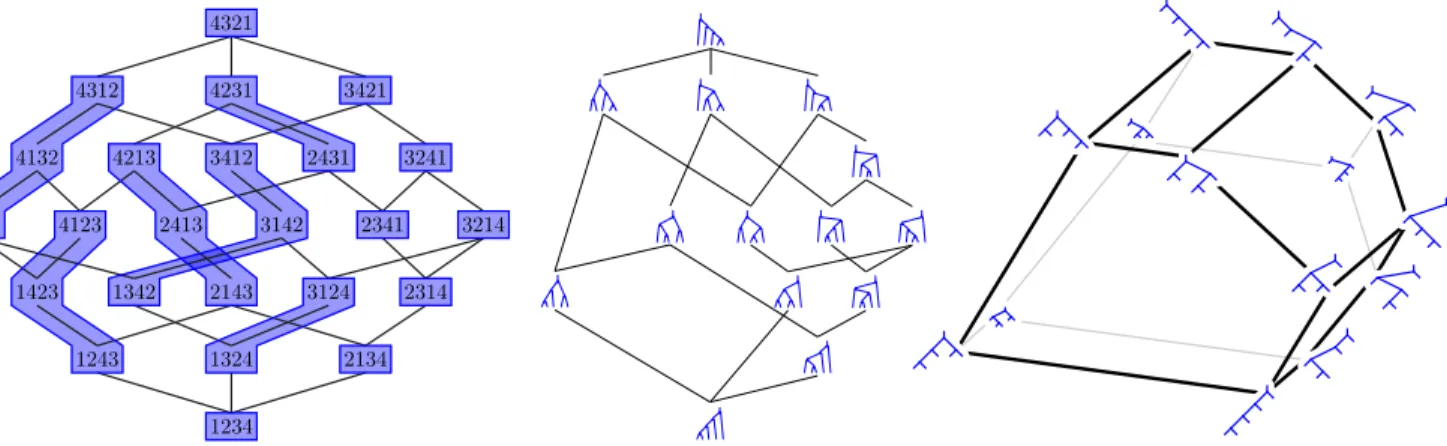 Figure 2. The quotient of the weak order by the sylvester congruence ≡ sylv (left) is the Tamari lattice (middle)