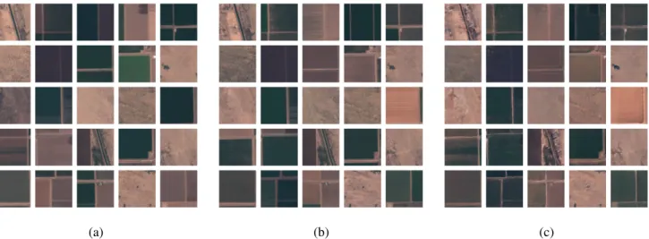 Figure 3. Image translation performed on images of Brawley, California. (a) Images used to extract the shared features; (b) Images used to extract the exclusive features; (c) Generated images from the shared representation of (a) and the exclusive represen