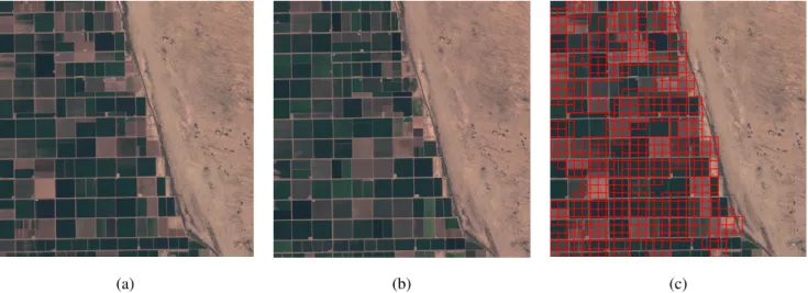 Figure 7. Change detection in Brawley, USA. A window slides on the images to be compared and extracts their exclusive features