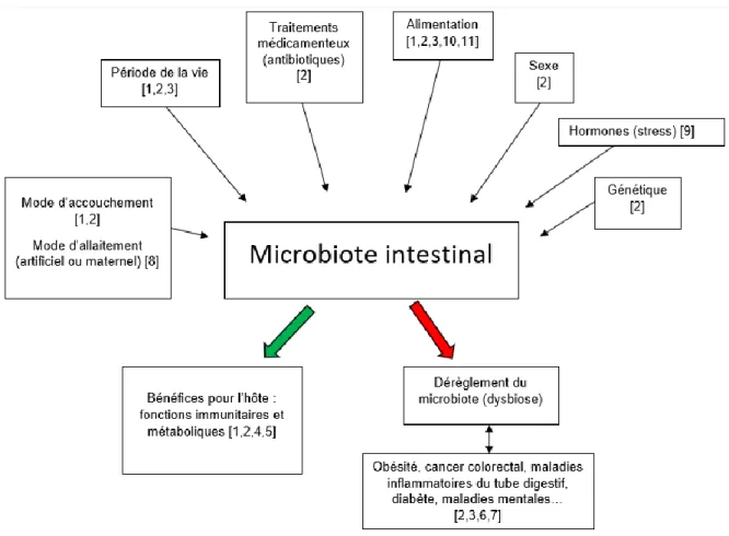 Figure 1. Interactions entre facteurs environnementaux/génétiques et microbiote intestinal 