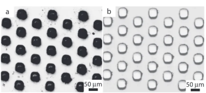 Fig. 2 Optical microscope images of a femtosecond laser-machined 54 μ m thick slab of lithium tantalate, with a 1 μm silicon dioxide coating on both front and back surfaces