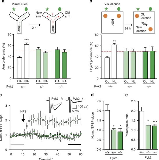 Figure 1 | Spatial learning and memory and CA1 LTP deficits in Pyk2 mutant mice. (a) In the spontaneous alternation test, Pyk2 þ / þ , Pyk2 þ / &#34; and