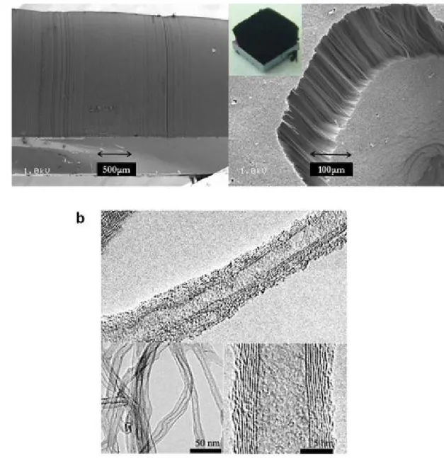 Figure S1  |  Microscopic images of VAMWNT.   a,  Scanning electron microscopic images of  nanotubes synthesized using water injection method. Cross‐section is  5 x 5 mm  and average  height is 3 to 5 mm.   b,  Transmission microscopic images. Inner diamet